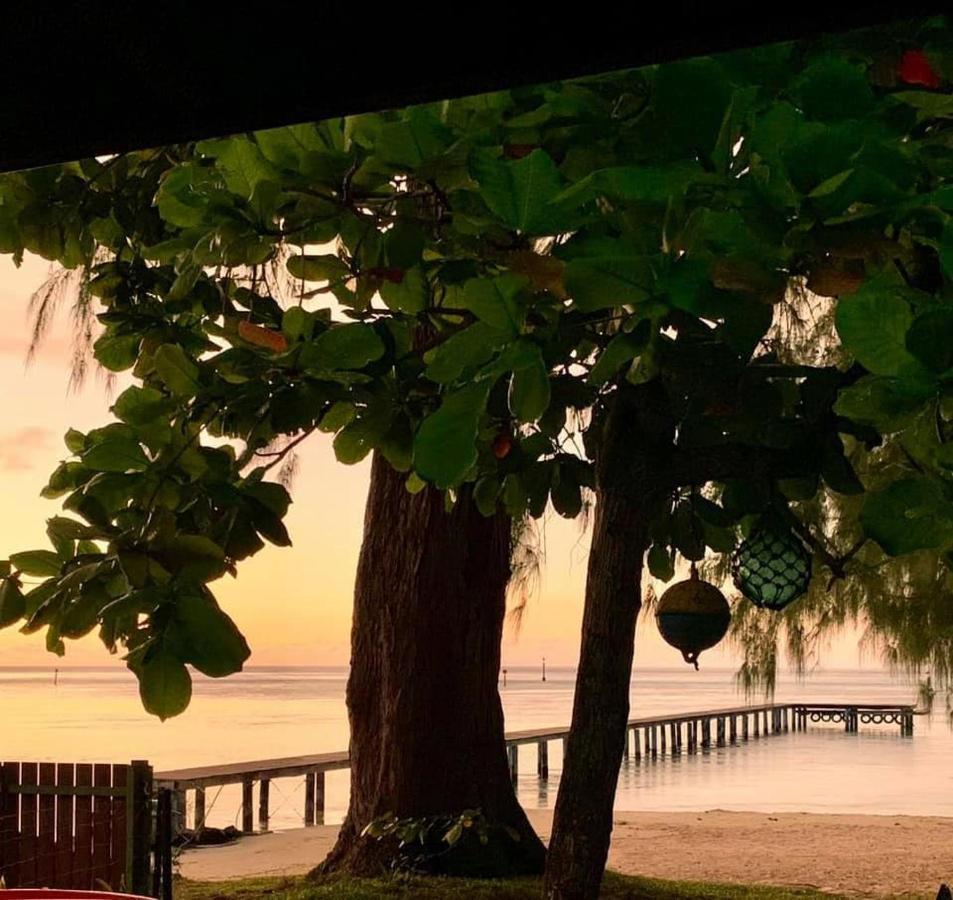 Beach De Reve De Moorea Hauru Екстер'єр фото