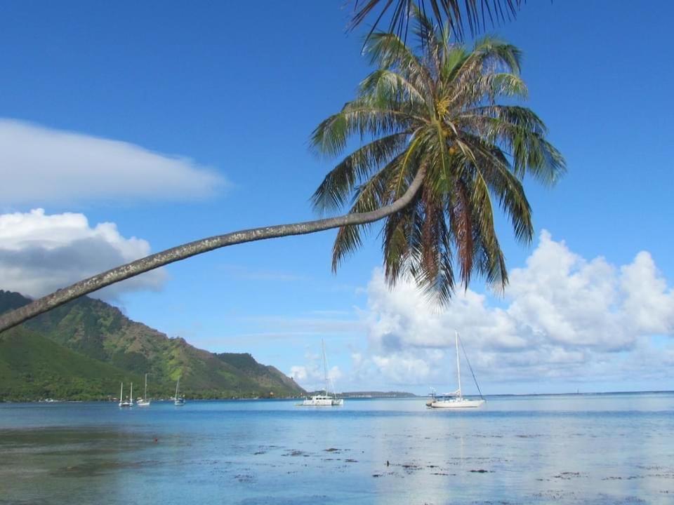 Beach De Reve De Moorea Hauru Екстер'єр фото