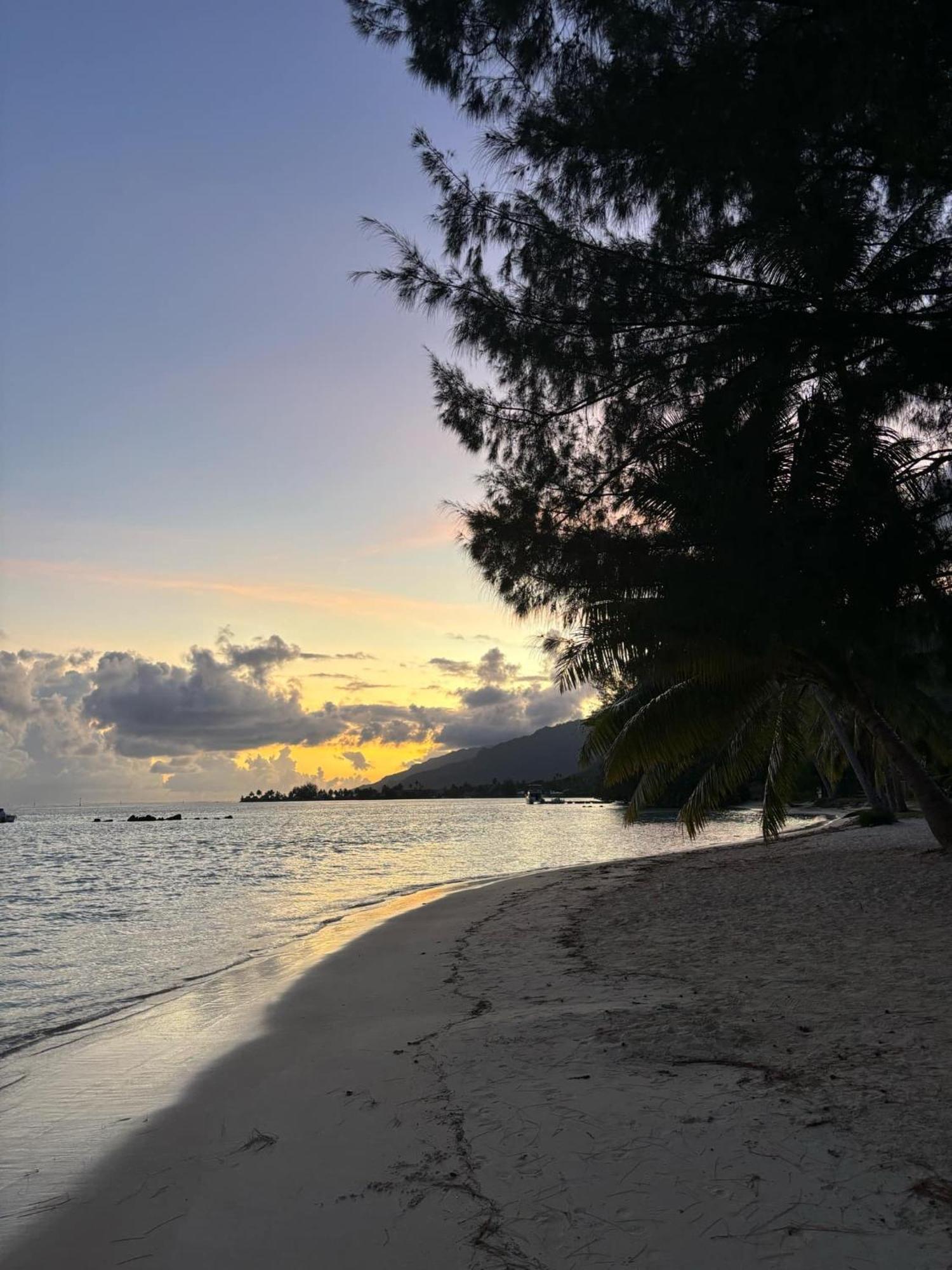 Beach De Reve De Moorea Hauru Екстер'єр фото